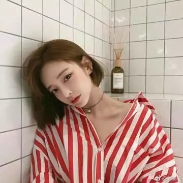 庇护所